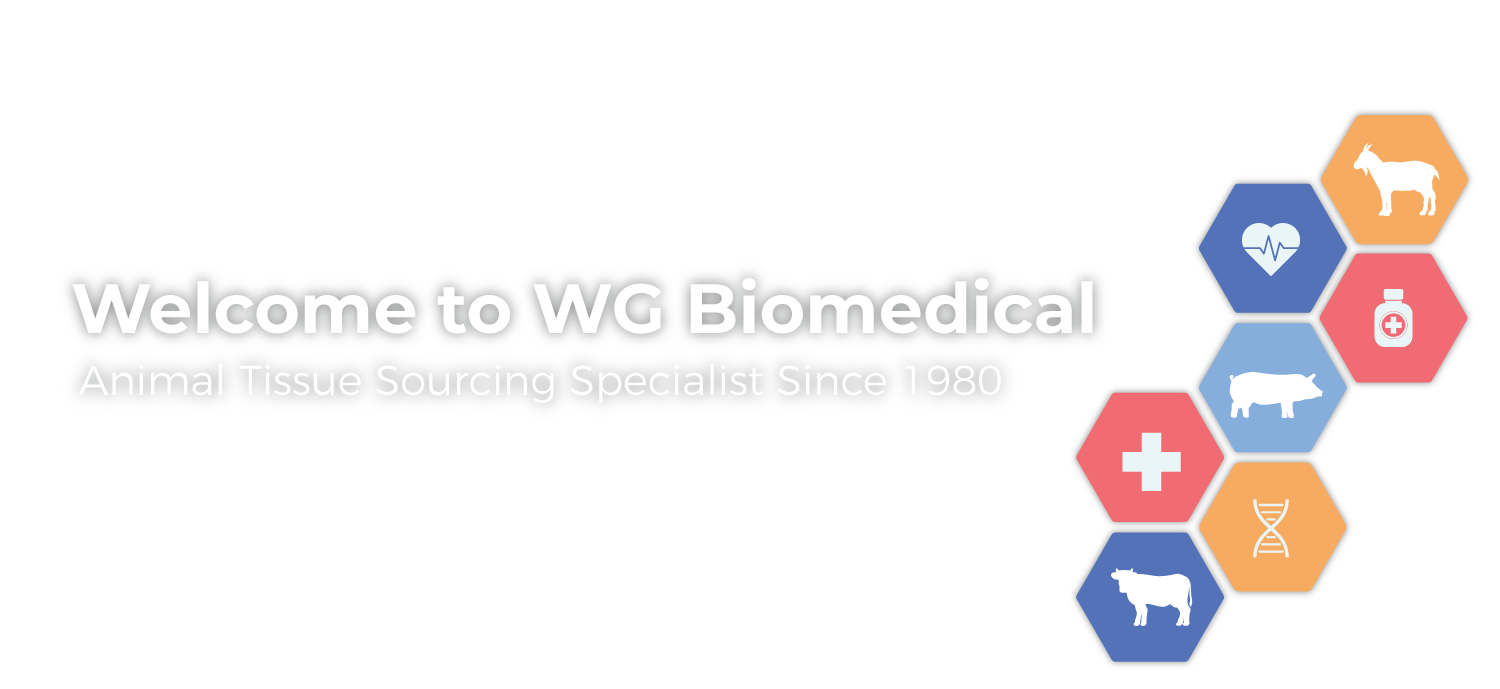 Welcome to WG Biomedical - Animal Tissue Sourcing Specialists Since 1980