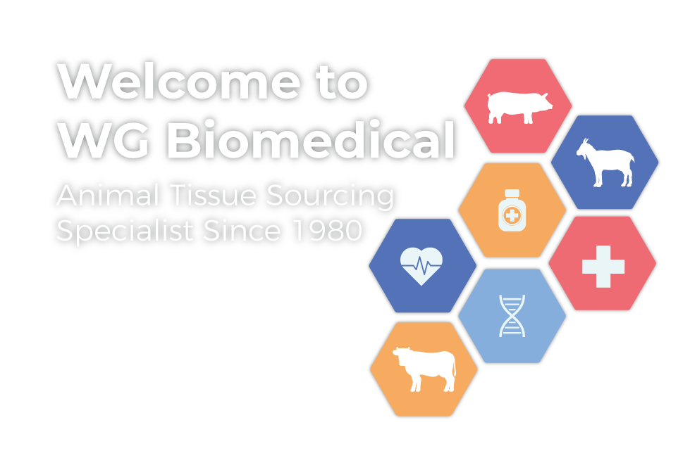 Welcome to WG Biomedical - Animal Tissue Sourcing Specialists Since 1980