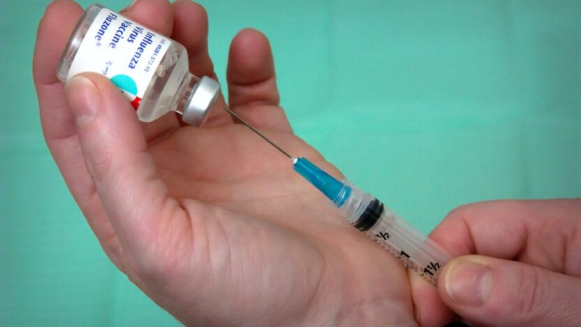 Animals & COVID-19